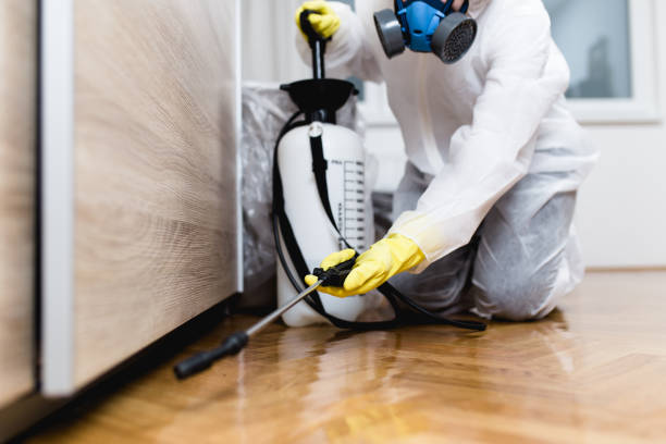 Best Pest Removal Services  in St George, KS