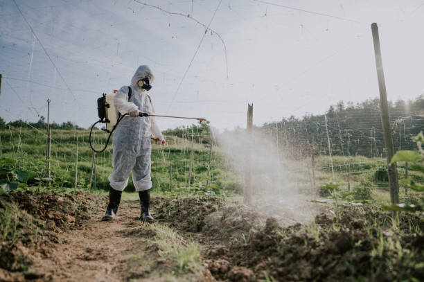 Best Ant Control Services  in St George, KS