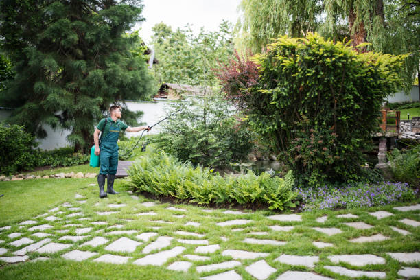 Professional Pest Control in St George, KS