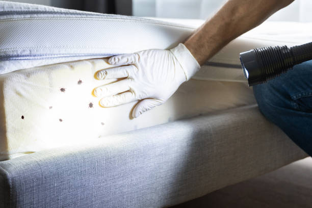 Best Pest Control Near Me in St George, KS