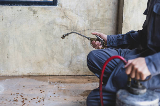 Best Wasp Removal Services  in St George, KS