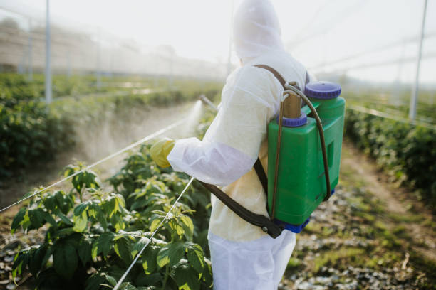 Best Pest Control Near Me  in St George, KS